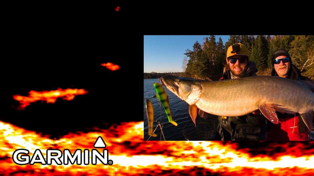 Musky's - Live