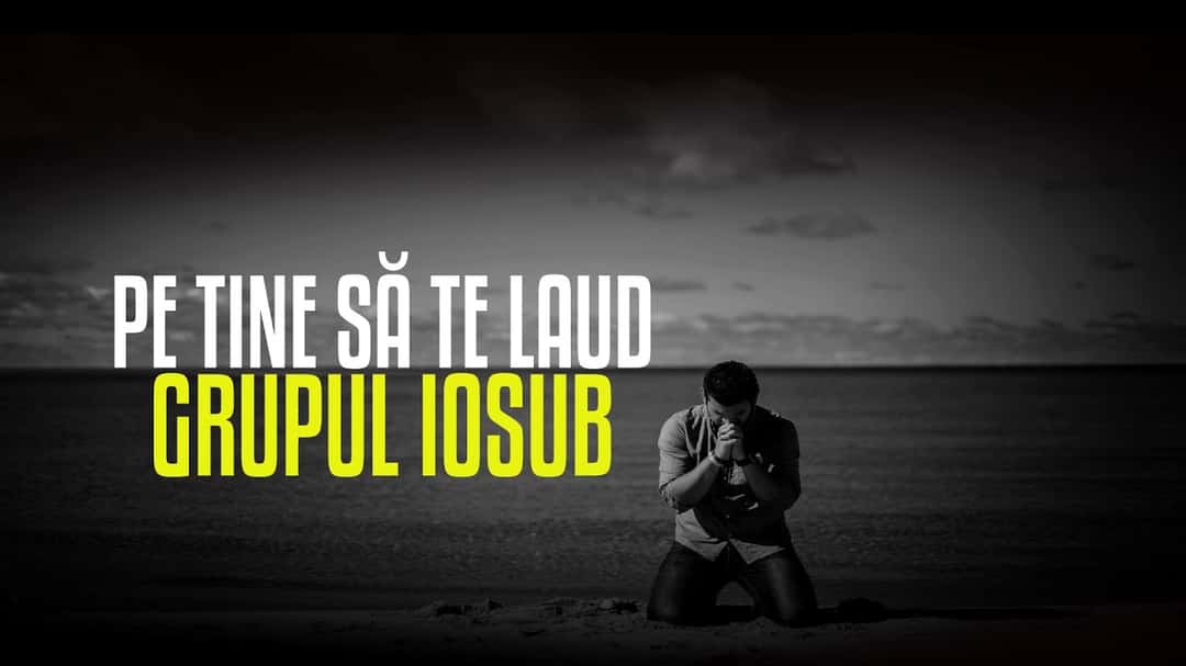 Surorile Prodan - Live