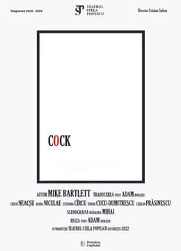 “Cock” de Mike Bartlett, la Teatrul Nottara, București