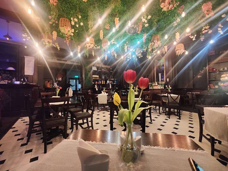 The Library Bar, Piatra-Neamț