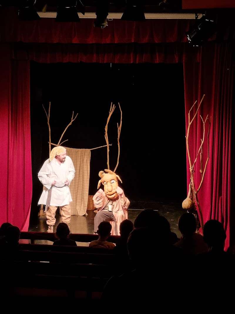 Teatrul de Papusi Puck, Cluj-Napoca