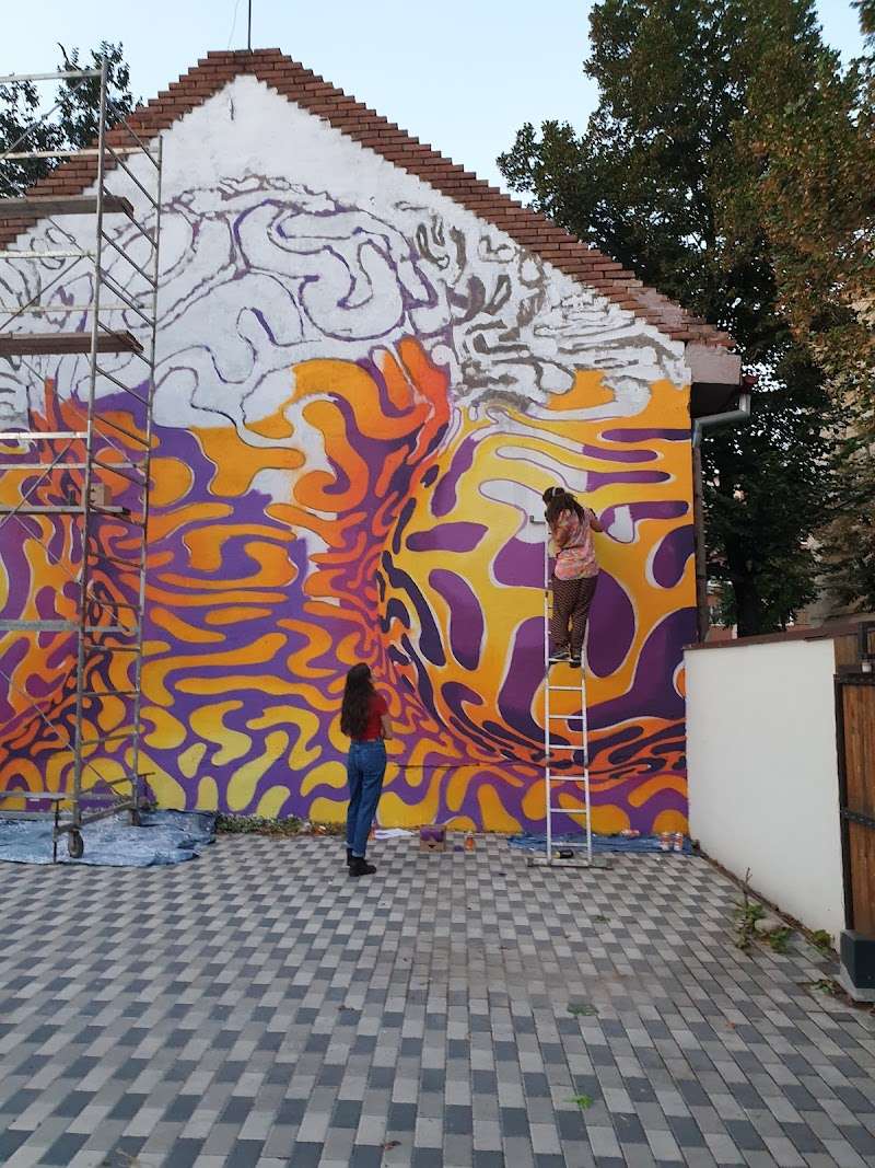 Caminul Subcultural, Cluj-Napoca