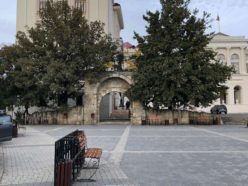 Universitatea de Medicină și Farmacie „Grigore T. Popa” din Iași, Iași