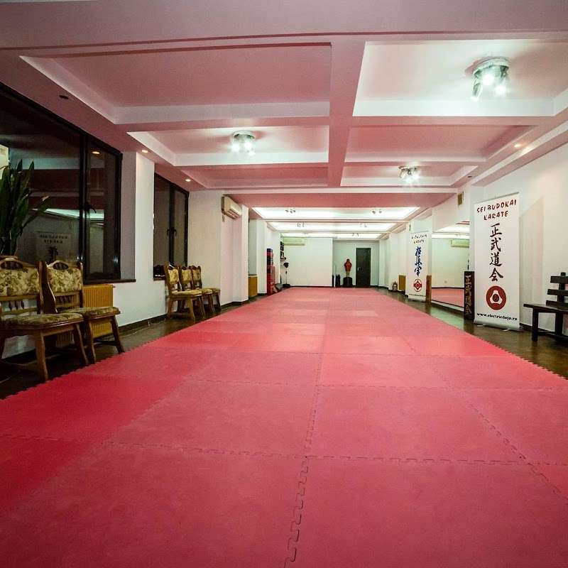Electric Dojo, București