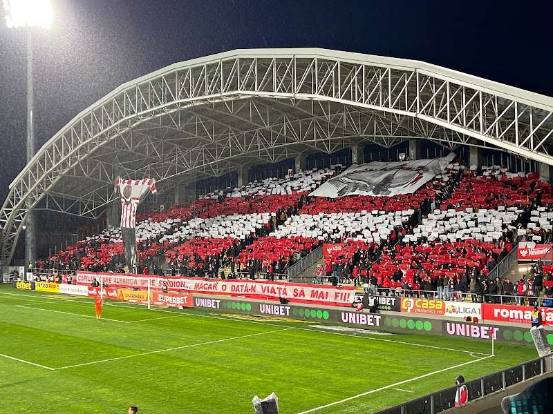 Arena "Francisc Neuman", Arad