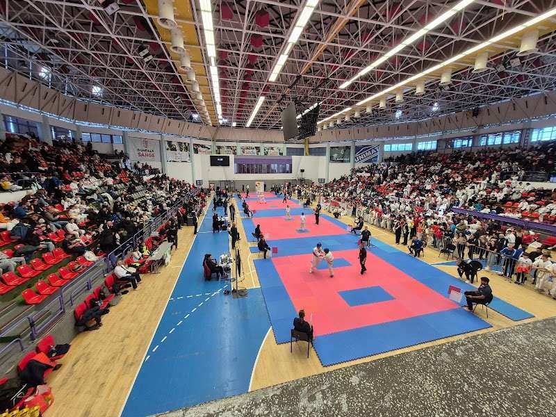 Sala Sporturilor Transilvania, Sibiu