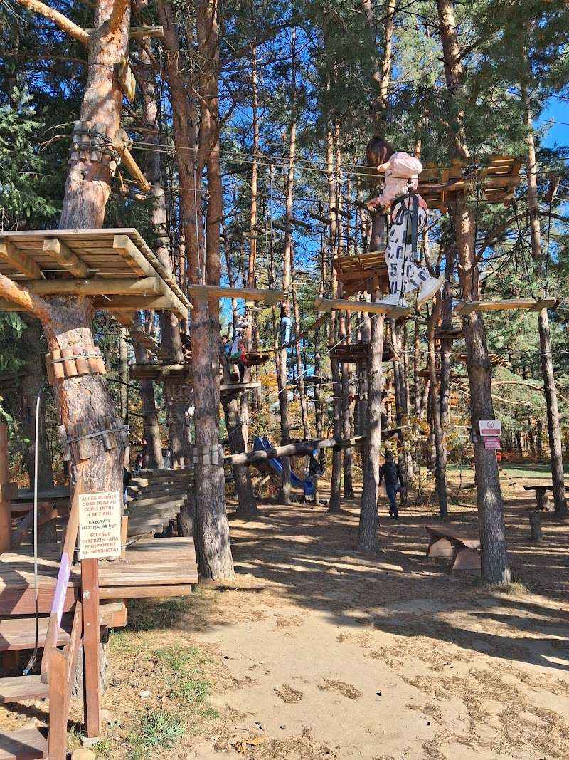 Hanul Arinis - Parcul Dendrologic, Gura Humorului