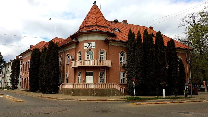 Casa de Cultura Radauti, Radauti