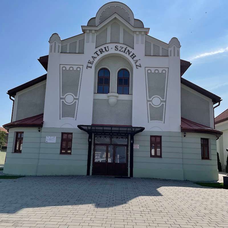 Teatrul Municipal Carei, Carei