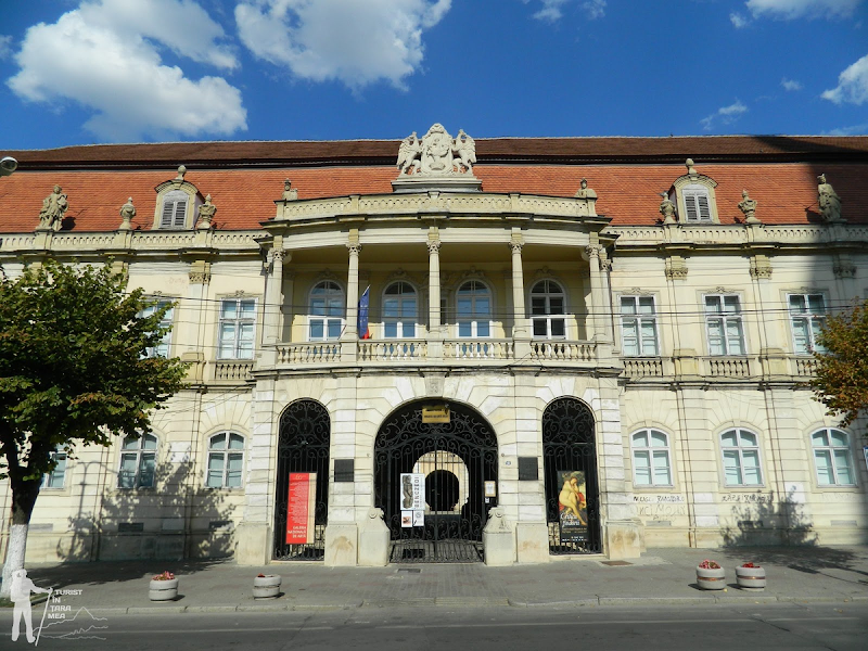 Muzeul de Arta, Cluj-Napoca