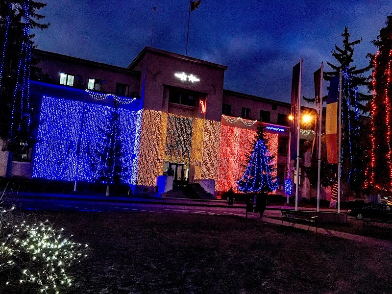 Sala de festivitati a Primăriei, Roman