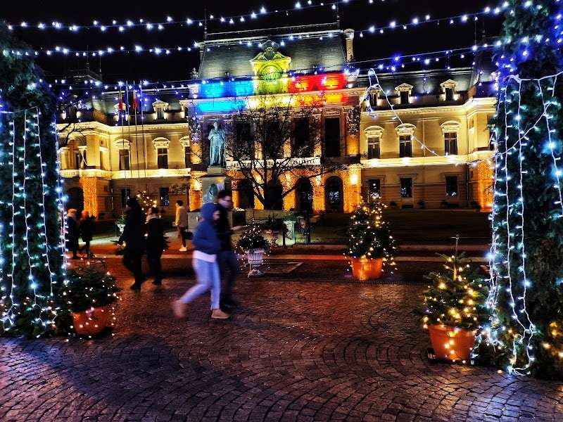 Palatul Roznovanu, Iași