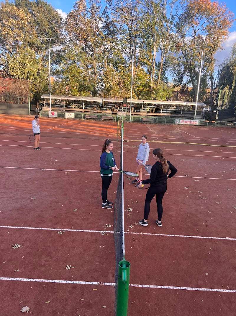 Terenuri de Tenis CSM, Oradea