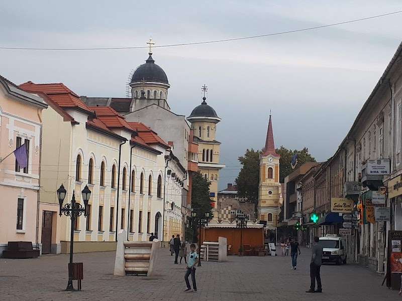 Casa de Cultură ”George Suru”, Caransebeș