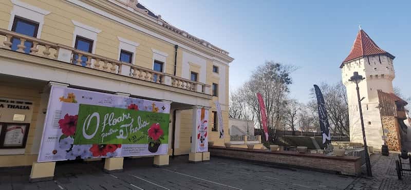 Filarmonica de Stat Sibiu - Sala Thalia, Sibiu