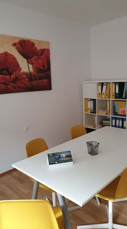 Vivid Education, România
