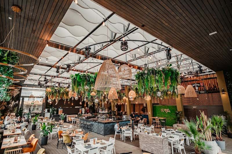 KAYA - Bistro & Lounge, Onești