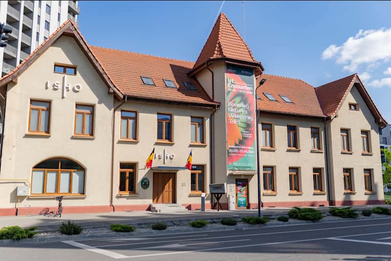 ArtEncounters, Timișoara