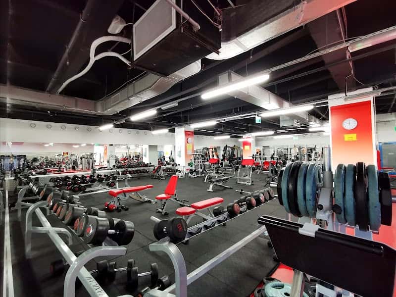 MaxGym Club Ploiesti, Ploiești